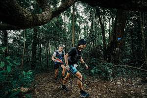 BIB: 
                            <button type="button" onclick="openModal(25390956)" class="btn btn-primary btn-sm float-right btn-popup" data-toggle="modal" data-target=".modal-high-quality">
                        <i class="fas fa-shopping-cart"></i> Add to Cart
                    </button>
                                            <button type="button" onclick="isThisMe(25390956, true)" class="btn btn-success btn-sm float-right btn-popup btn-isme hidden" data-toggle="tooltip" data-placement="bottom" title="นี่คือรูปของคุณใช่ไหม คลิกที่นี่เพื่อเอาเข้าอัลบั้ม">
                        <i class="fas fa-plus"></i> Add to album
                    </button>
                    <button type="button" onclick="isThisMe(25390956, false)" class="btn btn-warning btn-sm float-right btn-popup btn-isnotme hidden">
                        <i class="fas fa-ban"></i> Remove from album
                    </button>